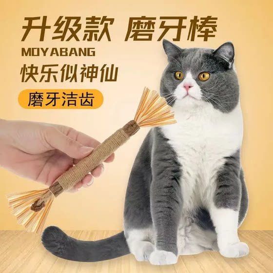 Cat toys funny cat stick catnip wood polygonum gall fruit self-stimulating relieve boredom resistant to catching mice cat scratching board resistant to bite supplies