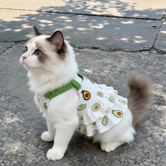 Pet dog clothes summer thin cute breathable teddy panda princess style cake suspenders cotton skirt