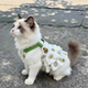Pet dog clothes summer thin cute breathable teddy panda princess style cake suspenders cotton skirt