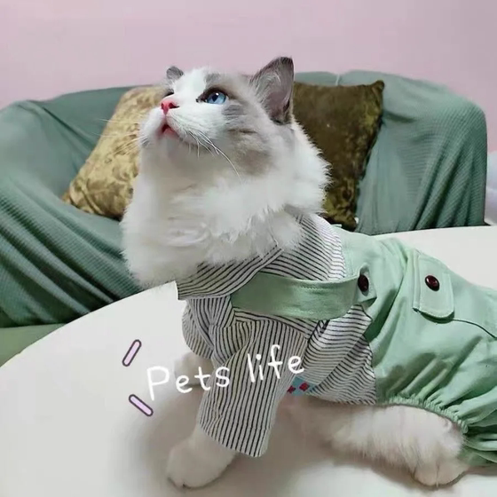 Pet cat clothes four-legged striped overalls thin blue cat ragdoll small cat spring and summer anti-shedding