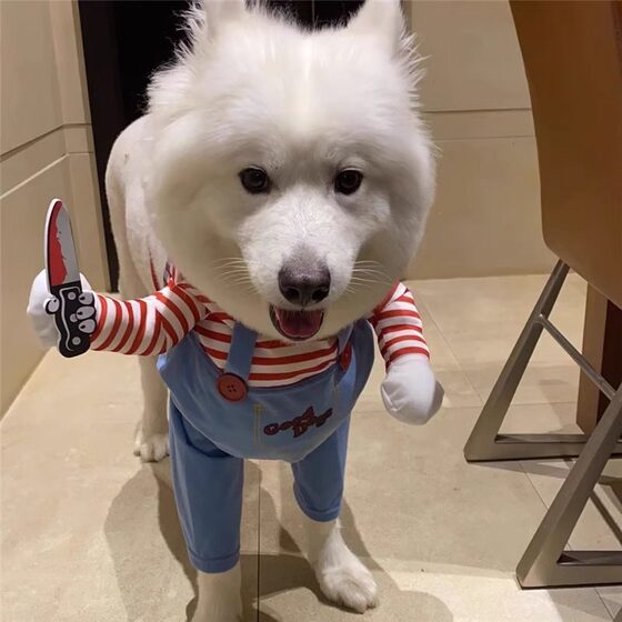 Dog Clothes Funny Knife-Helding Pet Funny Style