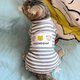 Cat clothes, anti-shedding pajamas, autumn home clothes