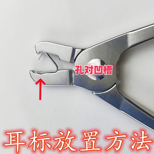 小鼠耳标钳耳号钳大鼠耳标钳耳钉钳耳夹钳打耳器双弹簧不锈钢促销 - 图0