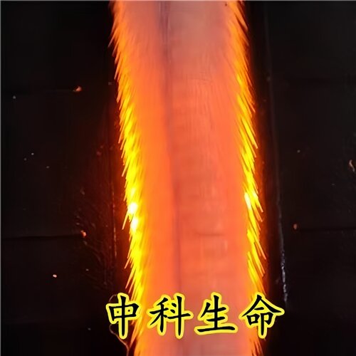 GEGD-Q9G静脉可视小鼠尾注固定器实验尾静脉注射神器显像仪LED灯 - 图1