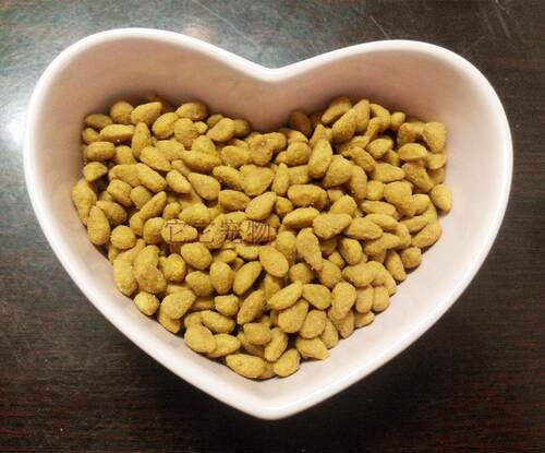 包邮光环国际super ACE猫粮 18磅成猫粮鱼肉味/鸡肉味 - 图0