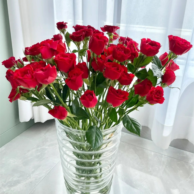 蔷薇多头玫瑰鲜花室内装饰摆放观花家庭插花云南昆明基地直发 - 图1