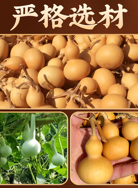 天然葫芦挂件中式家居饰品