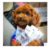 Black Nose Beauty Dogs, собачья корм 7,5 кг универсальный корм для собак Натуральные слезы, слезы, сильная костная собака