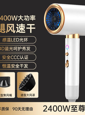 High Power Hair Dryer, Blow Dryer with Strong Airflow 吹风机