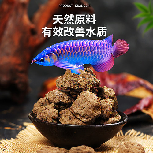 马来西亚龙鱼发色软水矿石黑水素增加矿物质修复已地包天兜嘴掉眼 - 图0