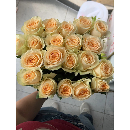 【宠粉福利】【香槟玫瑰10支】云南鲜花任意两件顺丰京东包邮 - 图3