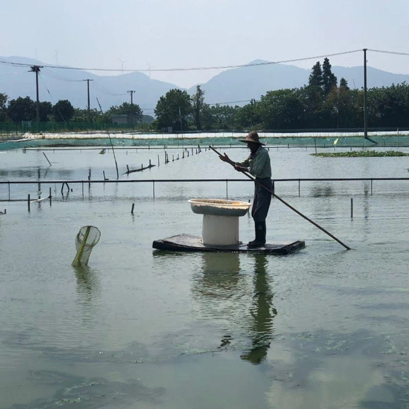 漾荡太湖大闸蟹鲜活螃蟹大母蟹3.5两公蟹3两水产10只礼盒装