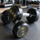 A pair of fixed cast iron dumbbells for gym use at home