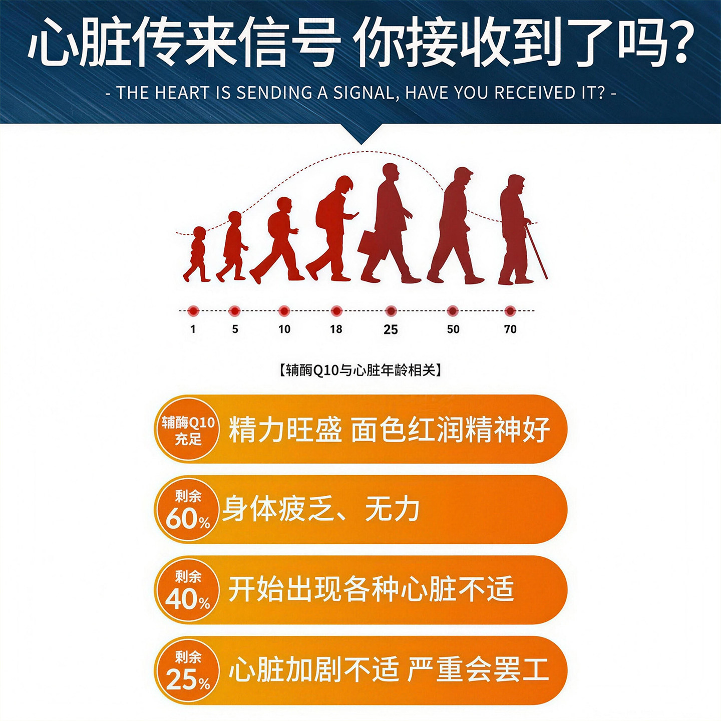 加拿大进口伟博天然辅酶Q10软胶囊100mg*2瓶 中老年心脏活力120粒