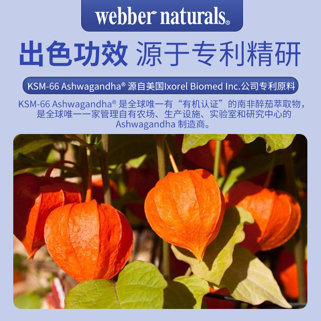 ສານສະກັດຈາກ Ashwagandha ອິນຊີ 7200mg