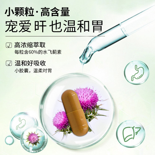 Webber Naturals奶蓟草姜黄硫辛酸复合精华 熬夜加班应酬养护65粒 - 图1