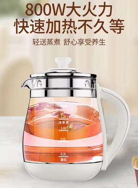 通用型养生壶配件单壶