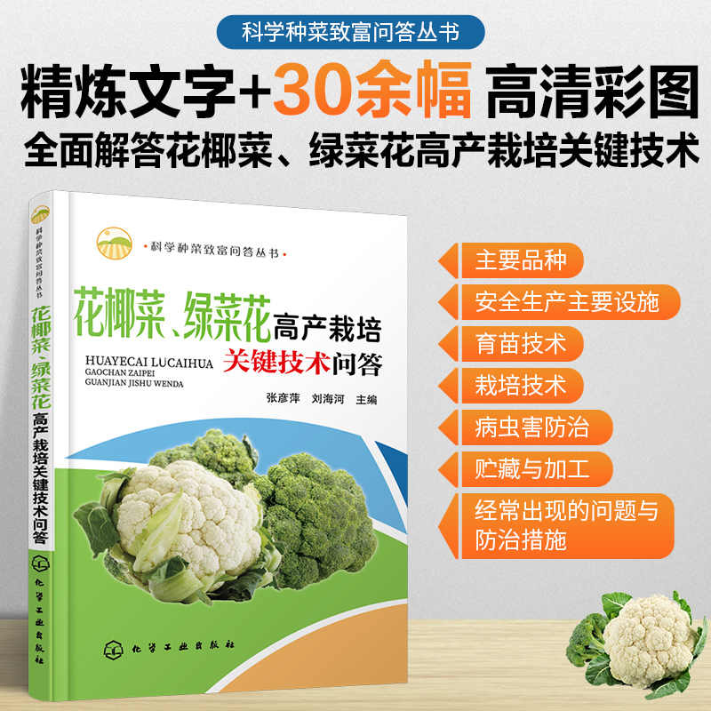 菜花菜种子 新人首单立减十元 21年9月 淘宝海外