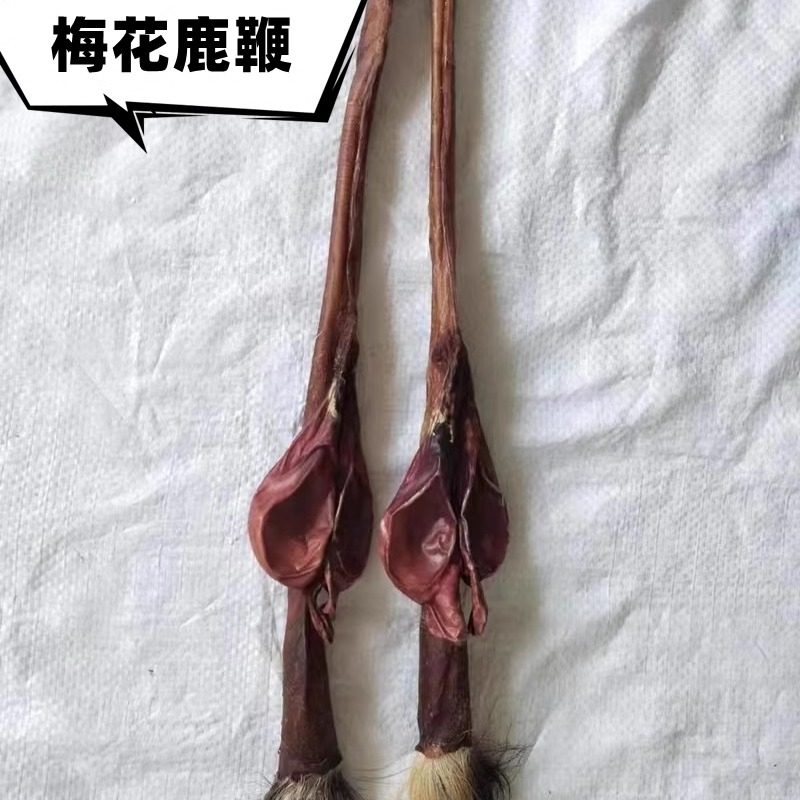 鹿鹿片 快乐片 人参鹿鞭片 医者正心,淘宝优惠券,粉丝福利购,淘宝优惠卷