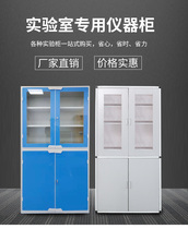School Laboratory Instruments Cabinet Chemical Medicine Cabinet Ventilation Cabinet Physical Instrument Cabinet Bio Specimen Cabinet Laboratory Cabinet