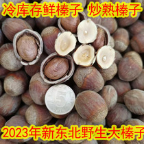2023 New Northeast big hazelnut fried and cooked thin leather original flavor 500g fragrant and crisp 2 catty and delivered with pliers hills