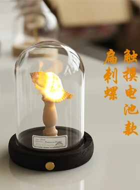 海洋海岛复古贝壳海胆海螺灯小夜
