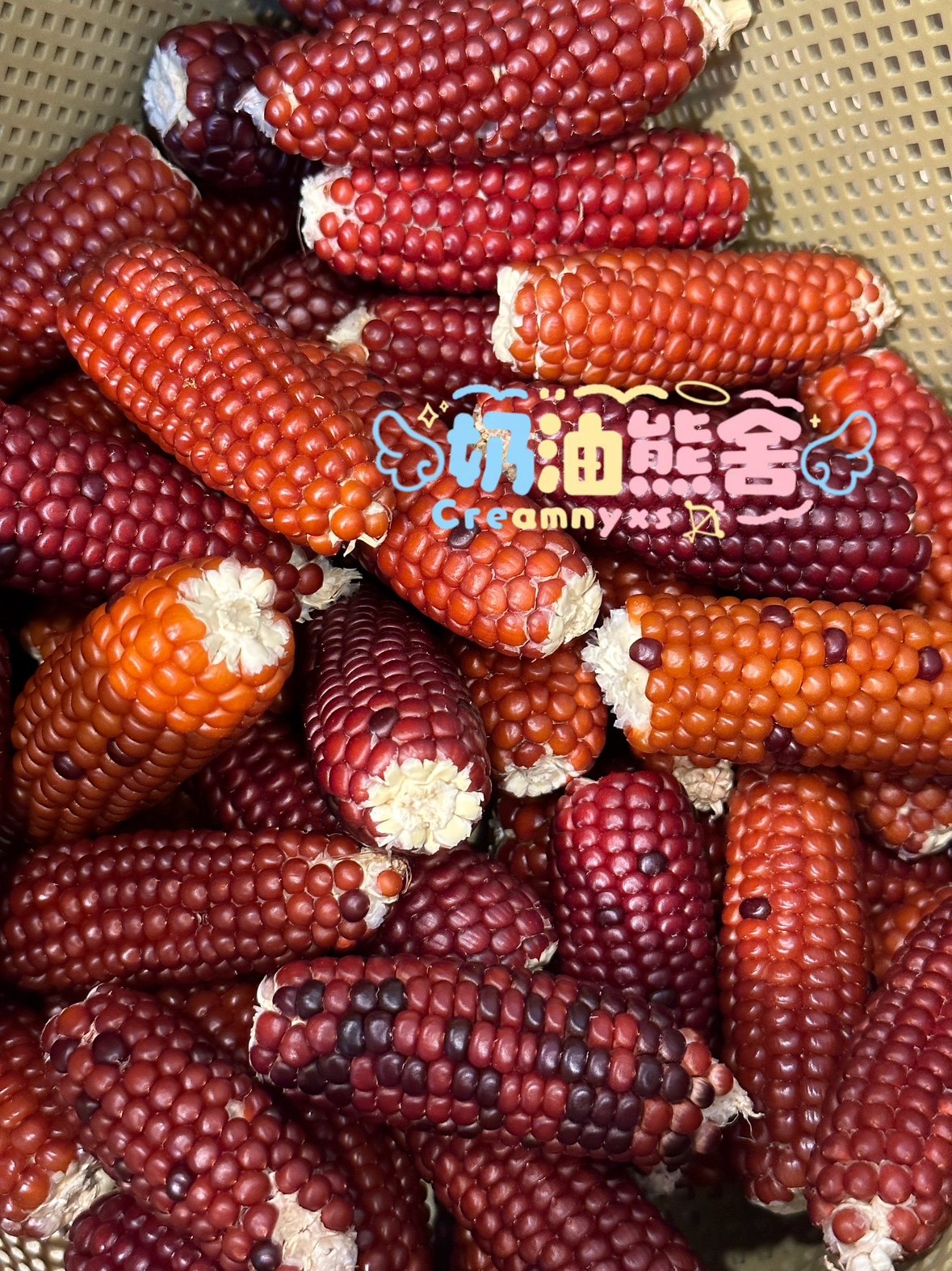 奶油熊舍迷你磨牙玉米棒仓鼠金丝熊龙猫花枝鼠零食营养粮食造景,淘宝优惠券,粉丝福利购,淘宝优惠卷