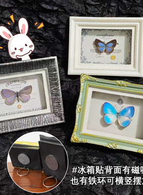 天然真昆虫蝴蝶标本成品小相框磁吸冰箱贴居家装饰品摆件生日礼物
