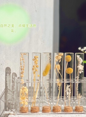 浮油花试管漂浮瓶干花种子植物标本展示瓶洋牡丹试管花架家居摆件