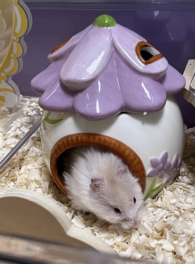 秘密花园仓鼠窝陶瓷大空间造景