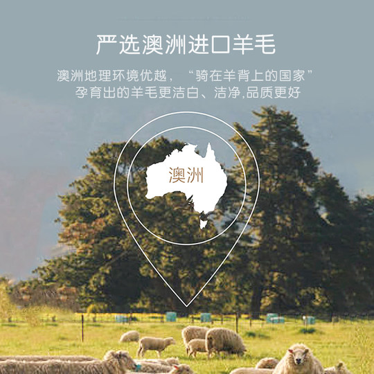 罗莱儿童A类防螨双层澳洲进口100%羊毛被学生四季被冬被宝宝被芯