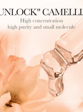 DayCreamMoisturizerCamellia