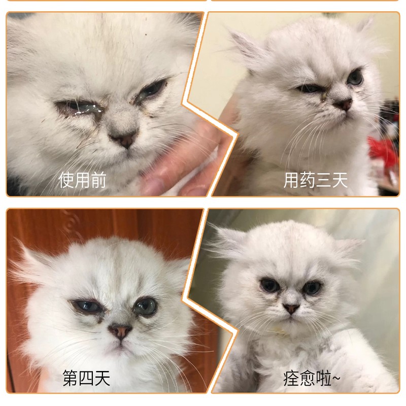 猫鼻支猫咪滴鼻液疱疹杯状病毒滴眼液狗感冒鼻塞打喷嚏泪痕结膜炎 - 图0