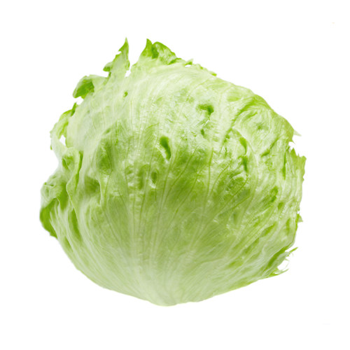 【老一生鲜】新鲜球生菜500g圆生菜沙拉菜西生菜沙拉蔬菜结球生菜 - 图0