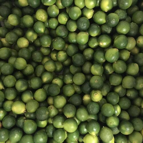 【老一生鲜】新鲜海南小金桔 500g 小金橘 小青柠 柠檬 小青桔 - 图2