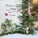 Simulated green plant landscaping, moss, fake plant decoration, fake flowers, indoor tropical combination, window display layout under stairs