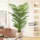 Simulated green plant phoenix indoor potted plant large bionic phoenix fake tree light luxury living room decoration floor ornaments