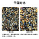 Xiaohongshu blogger recommends matching landscaping stones