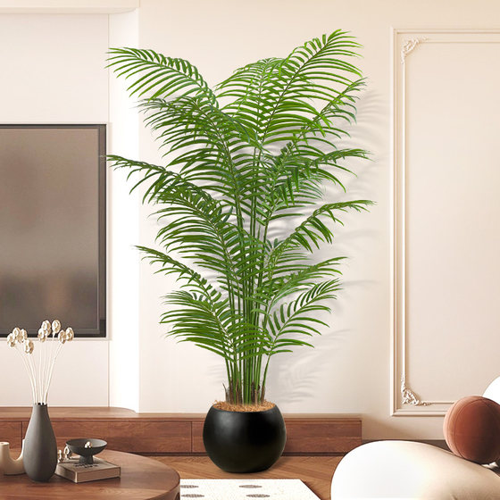 Simulated green plant phoenix indoor potted plant large bionic phoenix fake tree light luxury living room decoration floor ornaments