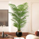 Simulated green plant phoenix indoor potted plant large bionic phoenix fake tree light luxury living room decoration floor ornaments
