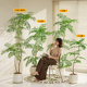 Simulated green plant jacaranda