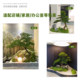 Simulated plant landscaping tropical rainforest large landscape fake green plant ornaments restaurant shopping mall decoration under the stairs