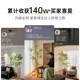 Simulated green plants interior decoration