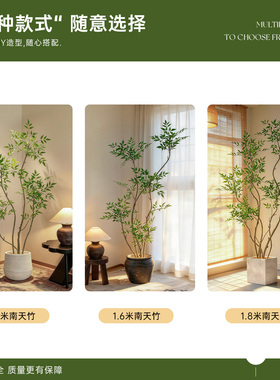 【品质保障】室内新中式盆景装饰