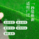 Simulated moss moss carpet landscaping mat artificial turf wedding lawn plastic artificial grass plant decoration