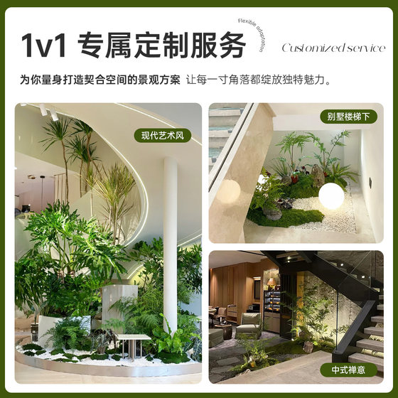 Hotel/shopping mall/catering green plant landscape decoration customization