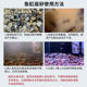 Xiaohongshu blogger recommends matching landscaping stones