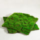 Simulated moss moss carpet landscaping mat artificial turf wedding lawn plastic artificial grass plant decoration