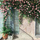 Internet celebrity check-in simulated rose wall covering the door