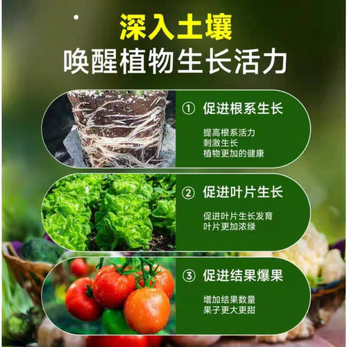 农邦主发酵芝麻饼微生物肥料花肥植物花卉盆栽通用有机颗粒营养肥 - 图2